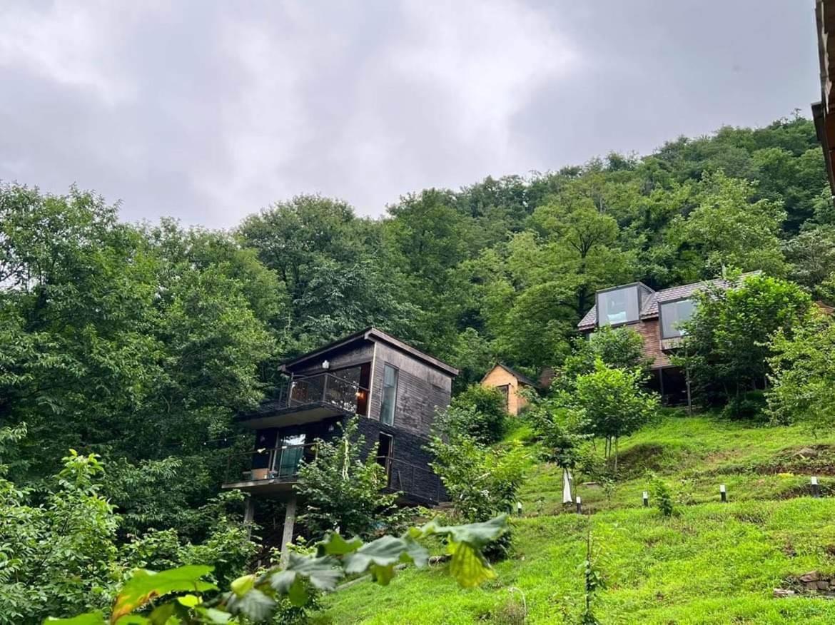 Woodpecker Ვუდფექერი Villa Batumi Exterior foto
